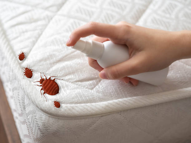 Best Bed Bug Extermination  in New Carlisle, OH